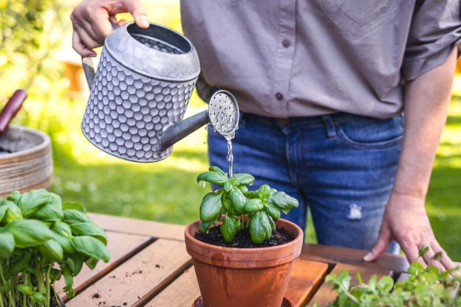 jardinería en valencia