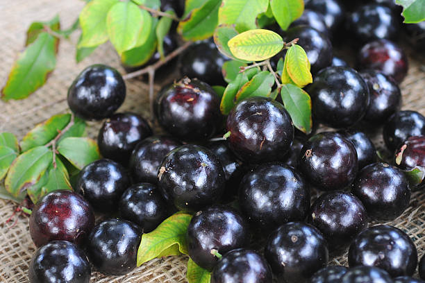 Jaboticaba en España